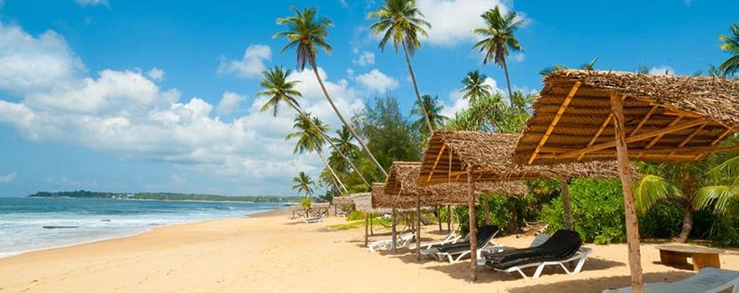 Hotel Blu Marine Nilaveli Trincomalee Exteriér fotografie